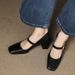 Frch-style Mary Jane Shallow High-heeled Wom, New Spring And Autumn Vintage Chunky Heel Elegant Single Shoes For_vogvips.com