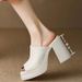 Peep Toe Thick Sole One-Strap Women's Fashion Outdoor Chunky Sandals 2024 New Summer High Heel Waterproof Platform_vogvips.com
