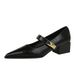 Women's Retro Mary Jane Pumps With Chunky Heel, Pointed Toe & Metal Buckle - Elegant Low-Cut Dress Shoes For Spring & Fall (Black/Light Green/Beige)_vogvips.com