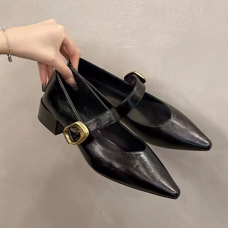 Low Heel Retro Pointed Evening Fairy Shoes Spring Autumn Winter Small Leather Shoes French Mary Jane Single Shoes_vogvips.com