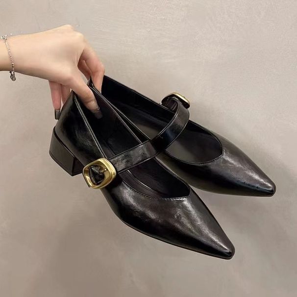 Low Heel Retro Pointed Evening Fairy Shoes Spring Autumn Winter Small Leather Shoes French Mary Jane Single Shoes_vogvips.com