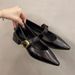 Low Heel Retro Pointed Evening Fairy Shoes Spring Autumn Winter Small Leather Shoes French Mary Jane Single Shoes_vogvips.com