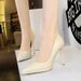 3255-3 Wind Super Waterproof Platform Shallow Mouth Pointed Sexy Nightclub High Heel Women's Single Shoes_vogvips.com