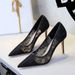 Women's Elegant Lace High Heels Pointed Toe Stiletto Pumps For Evening Party & Special Occasions - Sizes 34-43 Mesh Stiletto High Heels Single Shoes_vogvips.com