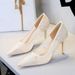 Women's Elegant Lace High Heels Pointed Toe Stiletto Pumps For Evening Party & Special Occasions - Sizes 34-43 Mesh Stiletto High Heels Single Shoes_vogvips.com