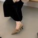 Korean-style Pointed-toe Shallow Single Women, Furry Shoes With Suede Finish, Thin Heels, Gentle Style, Suitable For_vogvips.com