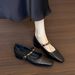 2026 New In-Stock Vintage Single-Strap Square-Toe Soft Sole Chunky Heel Mary Jane Versatile Women's Shoes_vogvips.com
