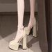 Mary Jane Chunky Heel High Heels For Women 2024 New Fairy Style Waterproof Platform French Square Toe One-Strap Single_vogvips.com