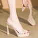 Transparent High-heeled Shoes 2026 Summer New Model, Waterproof Platform, Nude Color, Chunky Heel, Thick-soled Crystal_vogvips.com