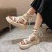 Fairy Style Sandals Female French Niche Thick-soled Heightened Cross-strap High-top Roman Shoes_vogvips.com