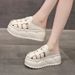 Women's Woven Baotou Sandals And Slippers Women's Outwear Summer New Style Platform Thick Bottom All-match Hollow-out Roman Women's Sandals_vogvips.com