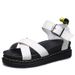 2025 New Thick Bottom Cross Solid Color Buckle With Large Hollow Roman Sandals For Women_vogvips.com