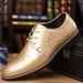 Suitable For All Seasons Large Size Men's Pointed Toe Lace-up Multicolor Wedding Business Party Banquet Office Formal Shoes_vogvips.com