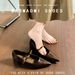 Sheepskin French-style Pointed-toe Chunky Heel Women's Shoes 2025 Spring/autumn With Metal Strap, Shallow Mary Jane_vogvips.com