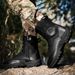 Outdoor High-top Boots Men Thick-soled Shock-absorbing Anti-slip Combat Boots Men Soft Durable Casual Hiking Shoes Men_vogvips.com