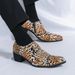 Street Heel Leather Shoes Men Pointed Toe Large Size Fashion Leopard Print Party High Heels_vogvips.com