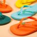 Summer Casual Outdoor Brazilian Hava's Solid Color Rubber Non-Slip Men's Home Beach Flip-Flops_vogvips.com