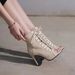 Sandals Hollowed Mesh Heels Belt Buckle Women S Summer Beige Lace Up Sexy Open Toe Boots Stiletto Jazz Dance Party_vogvips.com