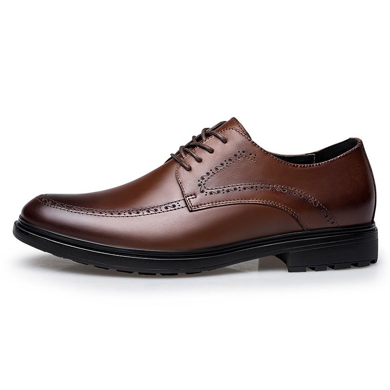 Men's Shoes Men's Derby Shoes Pointed Lace-up Men's Shoes Dress Style Casual Leather Shoes_vogvips.com