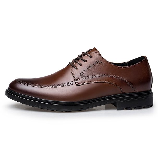 Men's Shoes Men's Derby Shoes Pointed Lace-up Men's Shoes Dress Style Casual Leather Shoes_vogvips.com