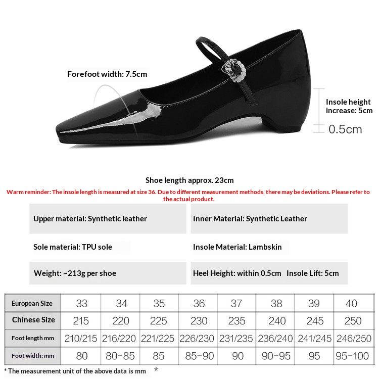 Cameido French Style Mary Jane Shoes For Women Chunky Heel Square Toe Single Strap Low Cut Dress Shoes For Commuting Spring_vogvips.com