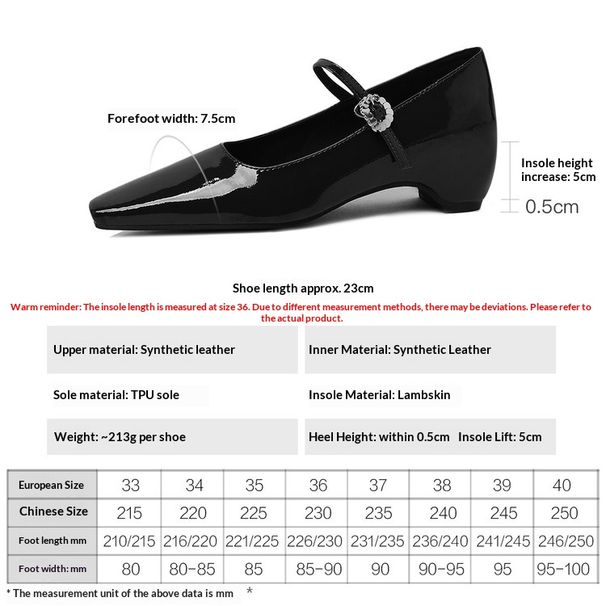 Cameido French Style Mary Jane Shoes For Women Chunky Heel Square Toe Single Strap Low Cut Dress Shoes For Commuting Spring_vogvips.com