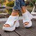 Summer Elegant And Sexy Wedge Thick Soled Sandals Fashionable Best Selling New Comfortable Plus Size Beach Women's Shoes_vogvips.com