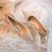 Elegant Pointed Toe High Heels 2024 Spring Autumn New Party For Women With Rhinestones And Pearls, Stiletto Heels,_vogvips.com