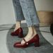 Chunky Mary Jane For Women, Vintage 2025 Autumn New Style, Hepburn Style Mid-High Heel Square Toe Shallow Single Shoes,_vogvips.com