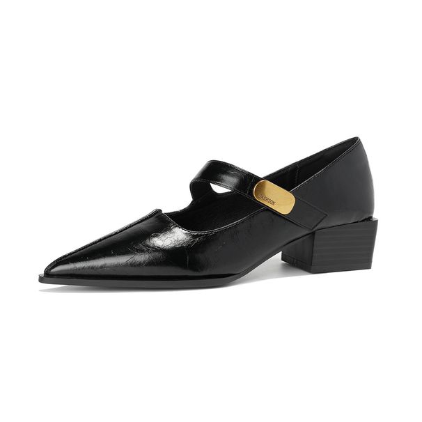 Pointed Single Shoes Women's Thick Heel With Shallow Mouth Mary Jane Shoes Sexy Temperament High Heels_vogvips.com