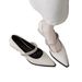 French-style Chunky Heel High Heels Silver Pointed-toe Women's 2026 New Summer Model To Match Skirts, Medium-heel Mary_vogvips.com