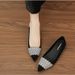 Within The Height Of 5CM Single Shoes Rhinelass Flat Pointed Small Autumn And Winter All Match Soft Sole Women's Shoes Professional Black New_vogvips.com