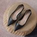 wangjia Wangjia For Women Sole Black High Heels Stiletto Professional Attire Pointed Toe Low Heel Soft Leather_vogvips.com