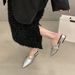 2025 Spring New Chunky Heel Closed Mules For Women Slip-On Pointed Toe Mary Jane Silver Shoes_vogvips.com