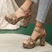 New chunky heel sandals for women vintage Presbyterian buckle sandals fashion outside wear large size high-heeled sandals_vogvips.com