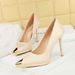 High Heels Women's Thin Heels Metal Pointed Toes One Pedal Women's Shoes Super High Heels_vogvips.com