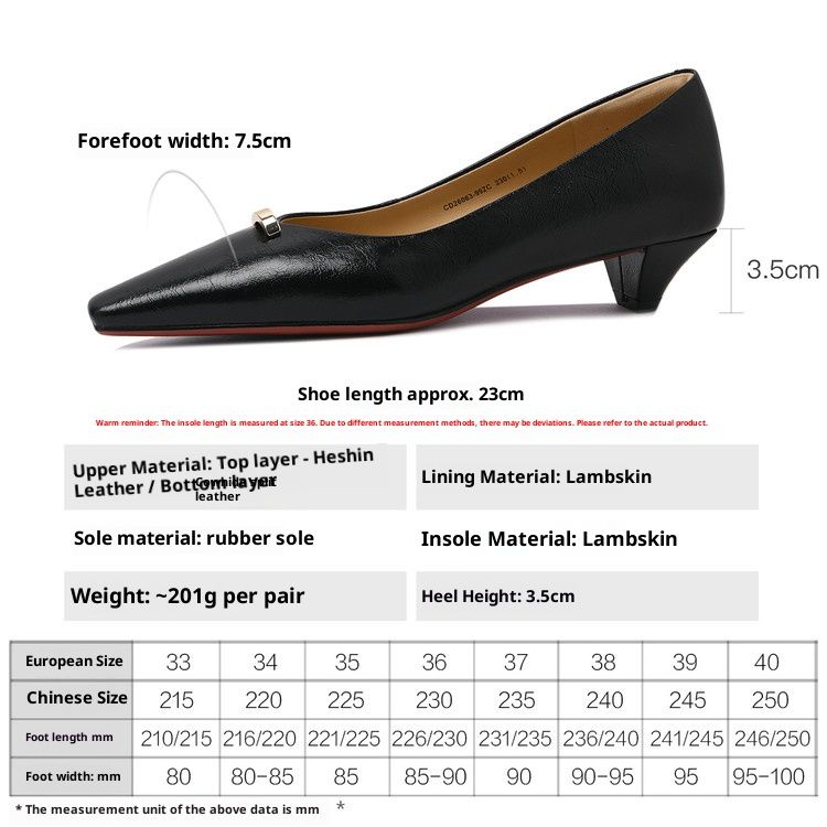 Cameido Women's Spring Pointed Toe Chunky Heel Commuting Dress Shoes With Comfortable Lining_vogvips.com