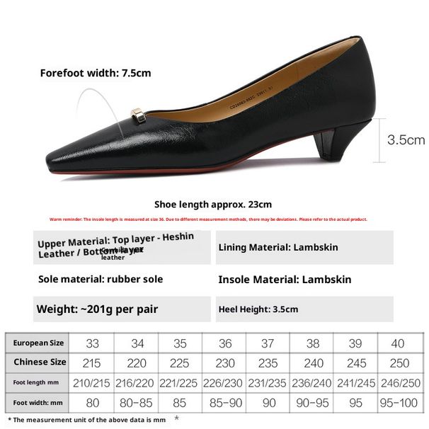 Cameido Women's Spring Pointed Toe Chunky Heel Commuting Dress Shoes With Comfortable Lining_vogvips.com