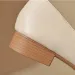 spring Autumn Womens Shoes Low Heels Korean Style Career And Party Wear Ladies Casual Mary Jane High Heel Free Shippin_vogvips.com