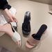 European And American Foreign Trade Plus Size Women's Shoes 2025 New Summer One-Strap Chunky Sandals Outdoor High_vogvips.com