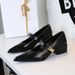 Women's Retro Mary Jane Pumps With Chunky Heel, Pointed Toe & Metal Buckle - Elegant Low-Cut Dress Shoes For Spring & Fall (Black/Light Green/Beige)_vogvips.com