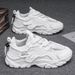 Men's Summer Breathable New Casual Black Sports Mesh Thick Sole Heightening Daddy Work Safety Shoes_vogvips.com