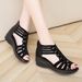 Women's Shoes, Wedge Heel 2025 Summer New High Heels, Anti Slip Breathable Sandals, Women's Fashion Trend_vogvips.com