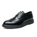 Euro Step Spring And Autumn New Pointed Toe British Style Lace-up Leather Brogue Carved Business Casual Formal Men's Shoes_vogvips.com