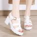 Summer New Leather Platform Sandals, 6cm Thick Sole, Versatile, Casual And Breathable Women's Flip-flops_vogvips.com