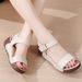 Casual Soft-soled Non-slip Slip-on Women, New Versatile Indoor And Outdoor Platform Heel Sandals For Ladies_vogvips.com