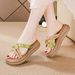 Summer New Women's Shoes Fashionable Versatile Thick-soled One-word Women's Slippers Wear Cool Slippers Beach Shoes_vogvips.com