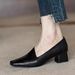 French-style Chunky Mid-heel Women's Shoes, 2025 Autumn New Model, Leather Square-toed Shallow Slip-on High-heeled Shoes_vogvips.com