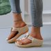 plus Size Women's Beach Slip-On Wedge Sandals Roman Style Comfortable Outdoor Slippers_vogvips.com