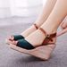 Women’s Shoes Fashion Mary Jane Fish Mouth Wedge Sandals Round Head Waterproof Platform Rope Wedge Sandals Women_vogvips.com
